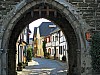 erpel am rhein - (c) e rockstroh.jpg